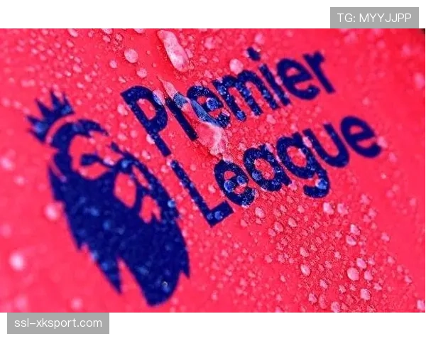 评论：VAR再度引发争议，英超裁判公司就布莱顿点球未判事件致歉